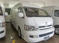 TEG WHITE 2020 JINBEI PANEL VAN