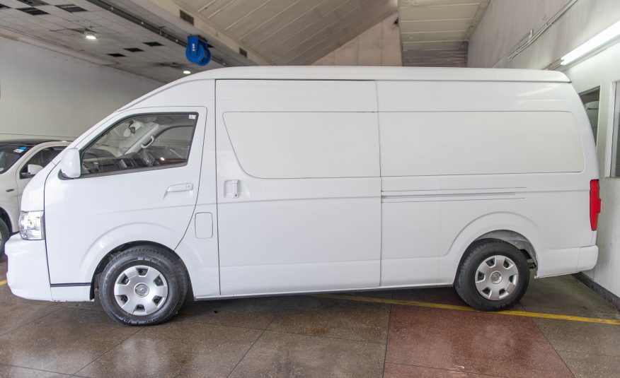 TEG WHITE 2019 JINBEI PANEL VAN