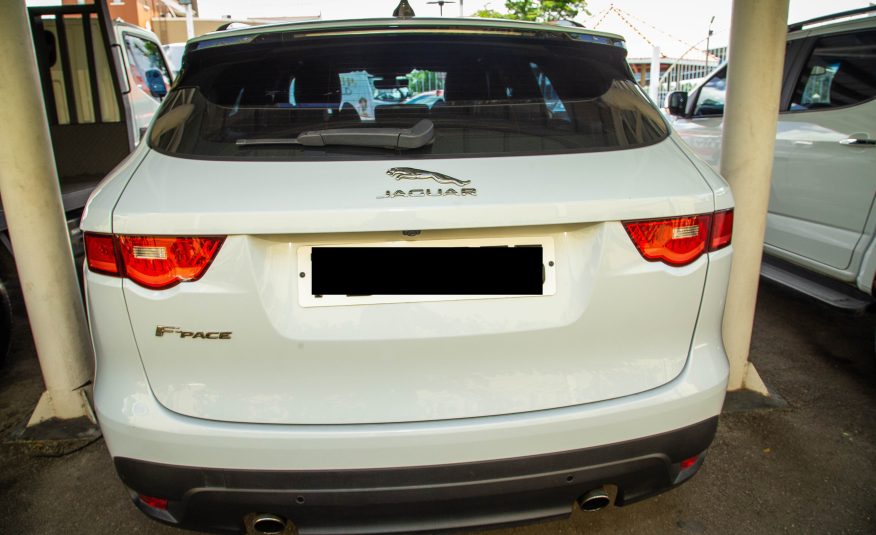 PDY 2020 White Jaguar F-PACE Chequered Flag