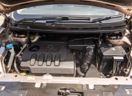 PEA 2019 Brown Baic X25