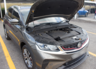 PEG 2023 Brown Proton x50