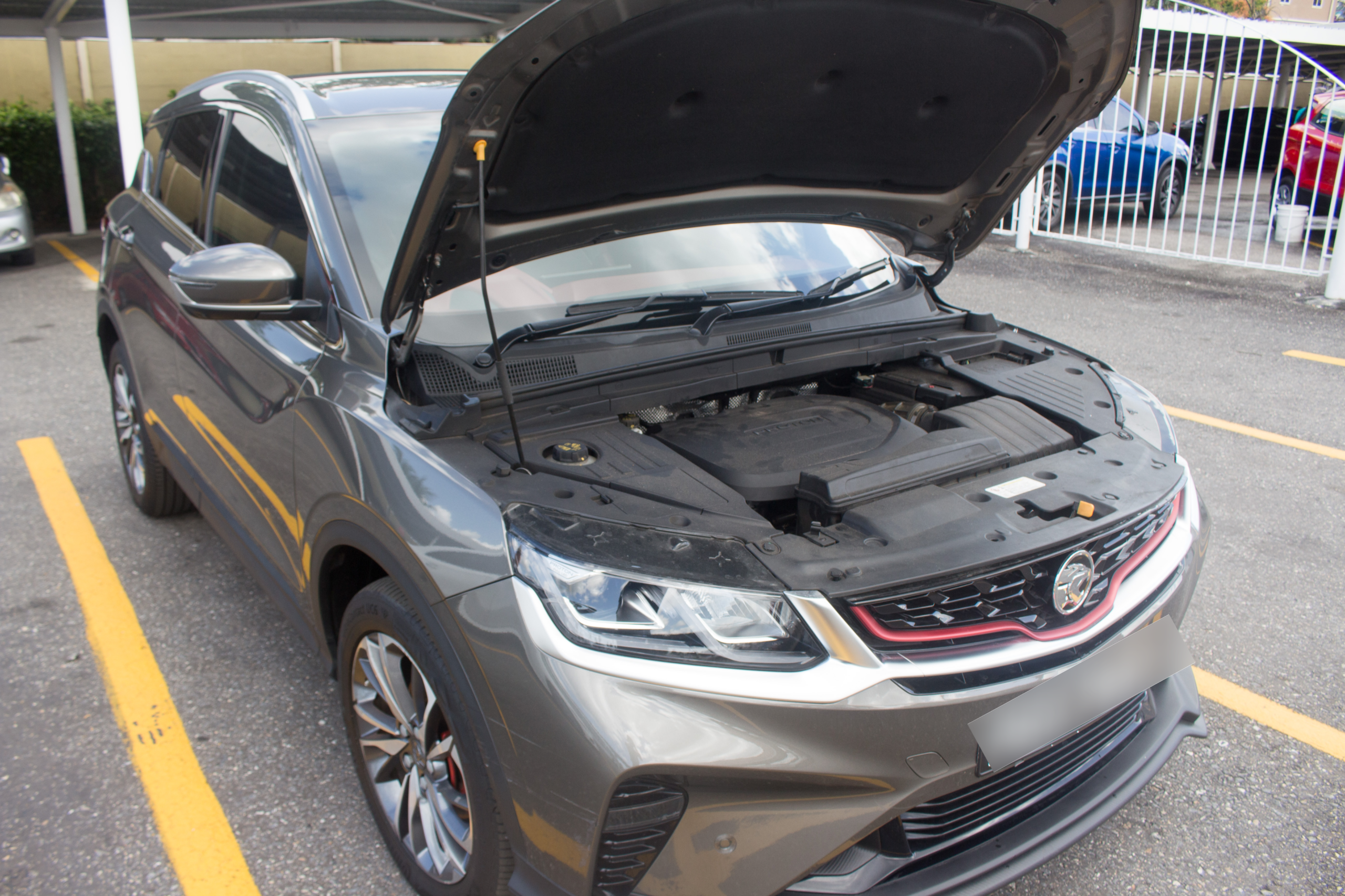 PEG 2023 Brown Proton x50