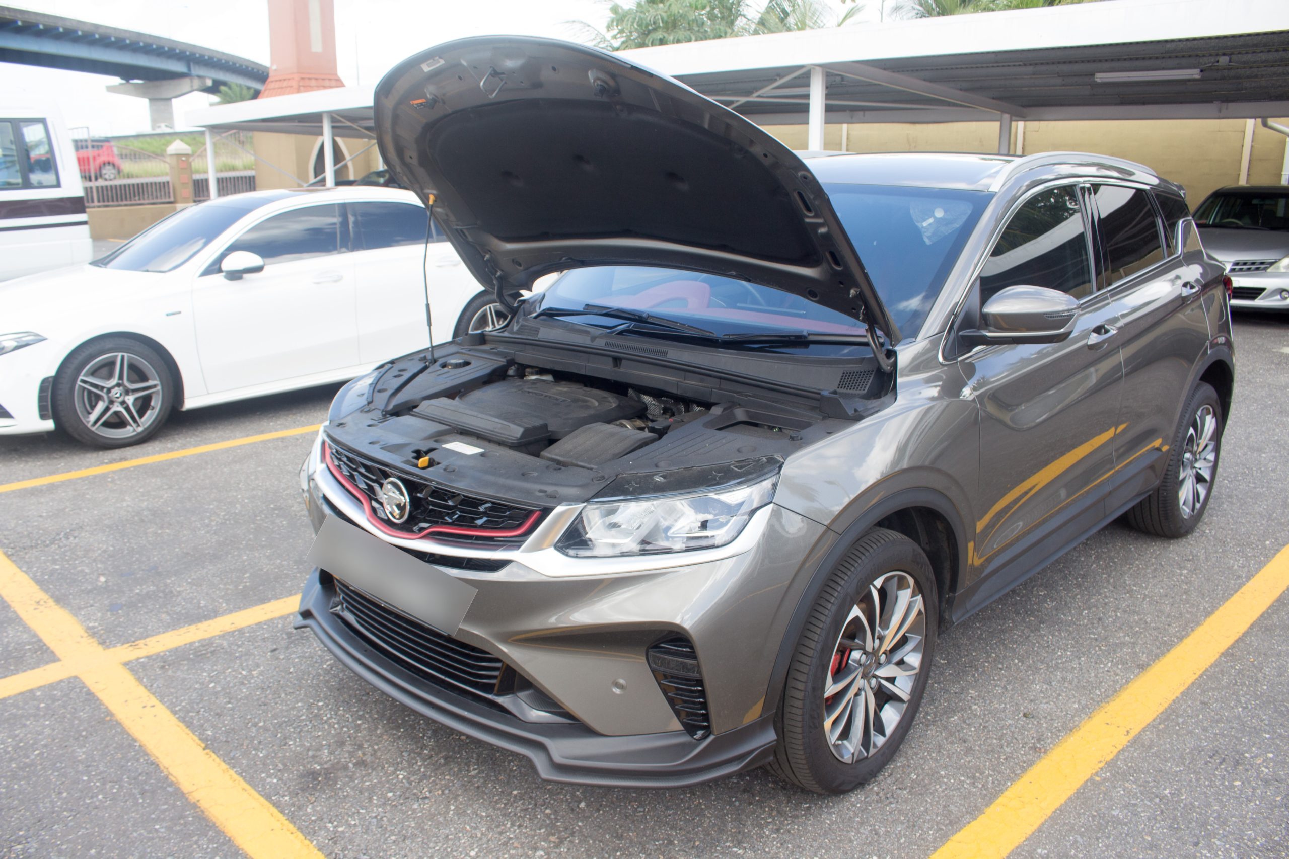 PEG 2023 Brown Proton x50