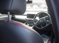 PEG 2023 Brown Proton x50