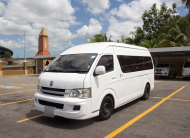 TED 2019 White Jinbei Panel Van