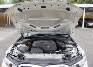 PEA 2020 White BMW 320i
