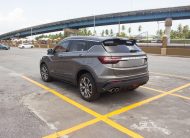 PEG 2023 Grey Proton X50