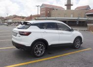 PEG 2023 White Proton x50