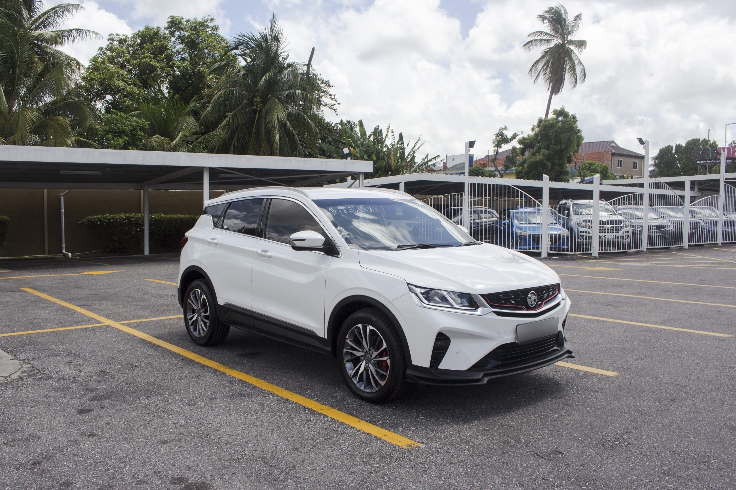 PEG 2023 White Proton x50