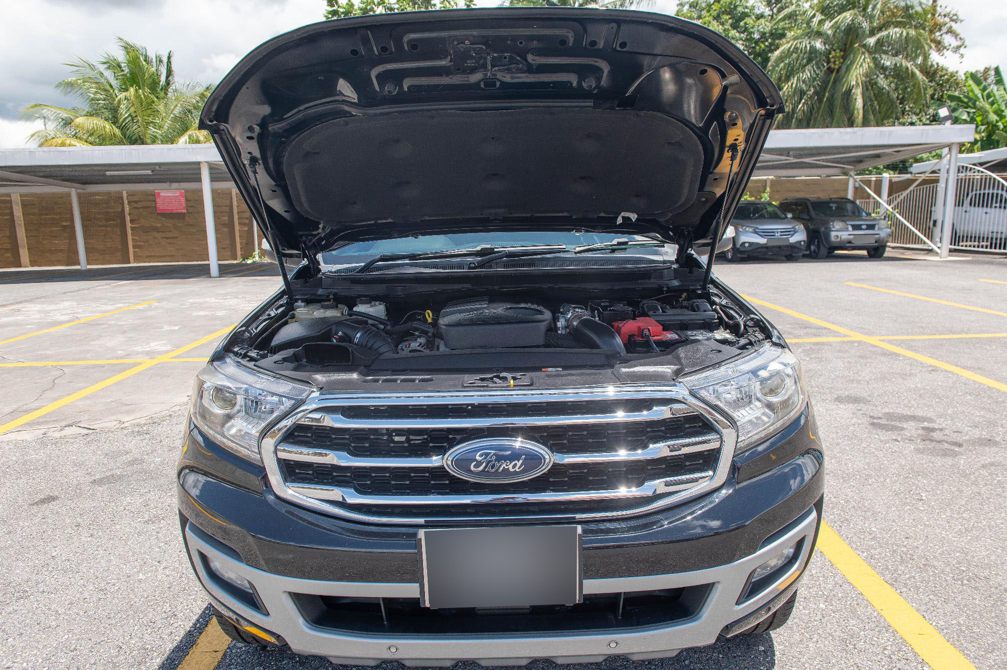 PDY 2019 Black Ford Everest